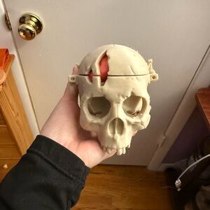 Hand printed 3D Skull